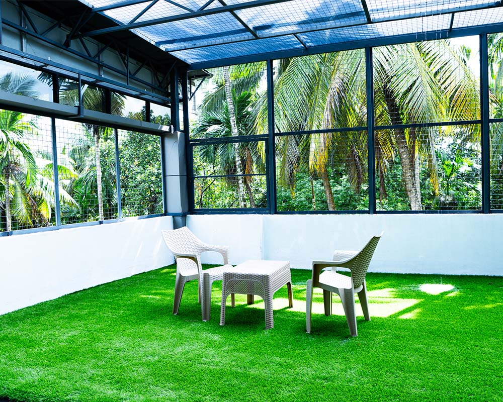 Open Yard