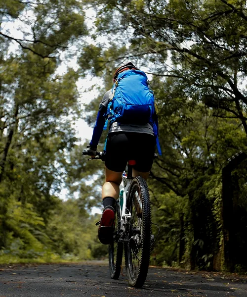 Cycle trails at bluemist resort athirappilly